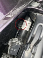 Rear OPTION connector.webp